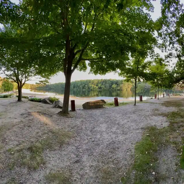Scenic dirt walking path leading toward a calm lake surrounded by trees at a park in Newton, MA