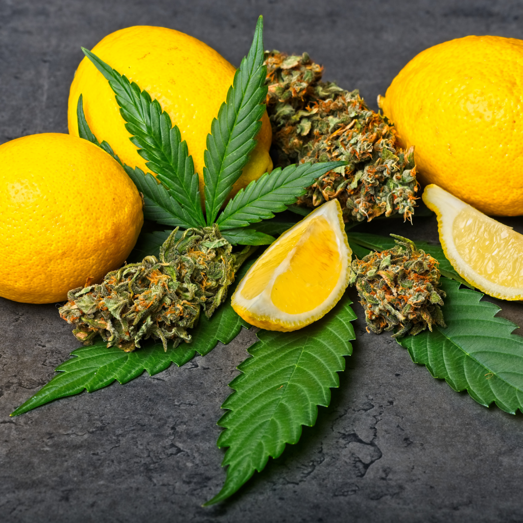 Lemons and cannabis