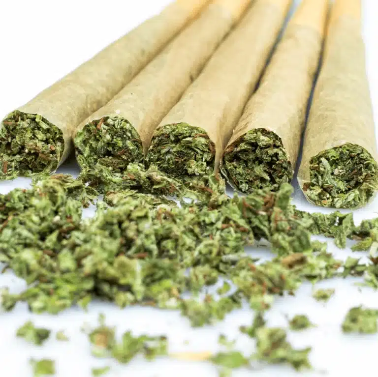 open-ended joints with cannabis spilling out