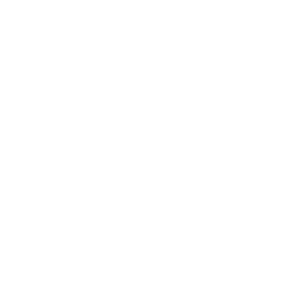 Garden Remedies Daisy - White