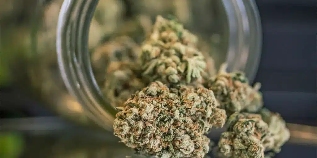 Nugs spilling out of a glass jar