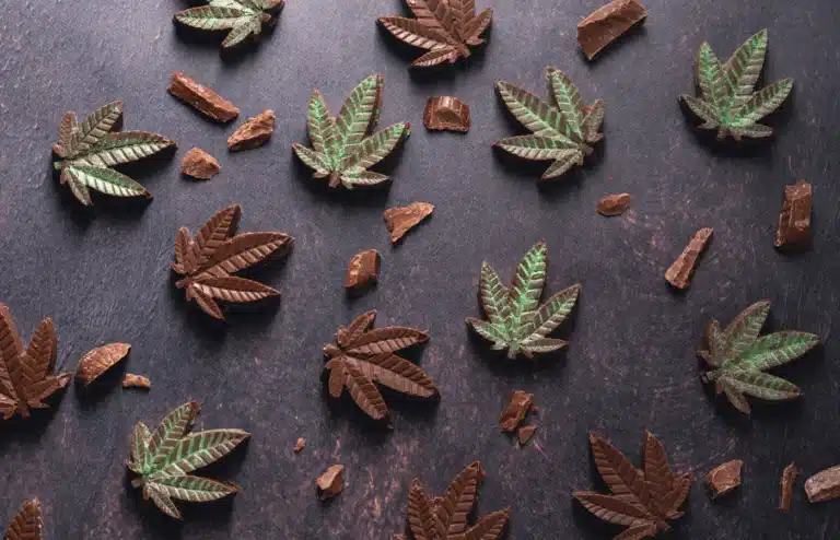 chocolate in the shape of cannabis leaves