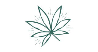 Flower Category Illustration