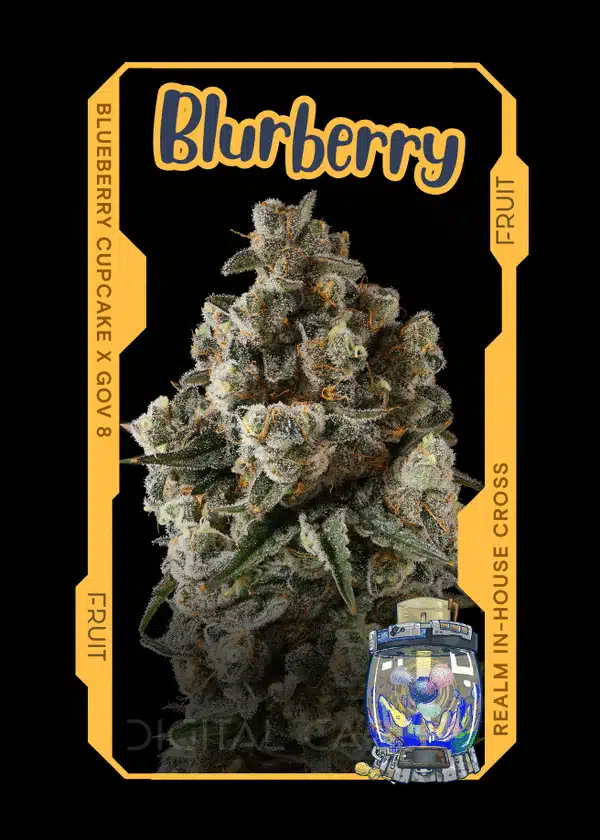 blurberry strain card