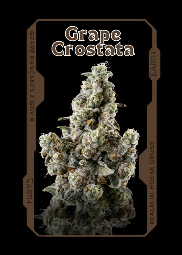 grape crostata strain card