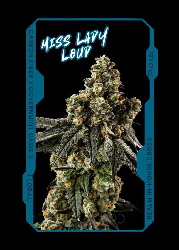 miss lady loud strain card