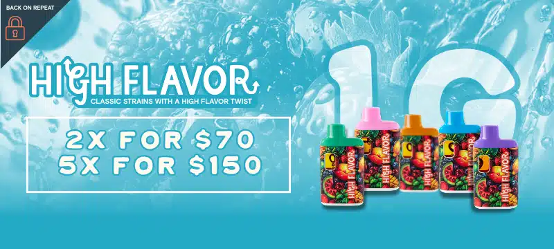 High Flavor disposable vapes 2 for $70