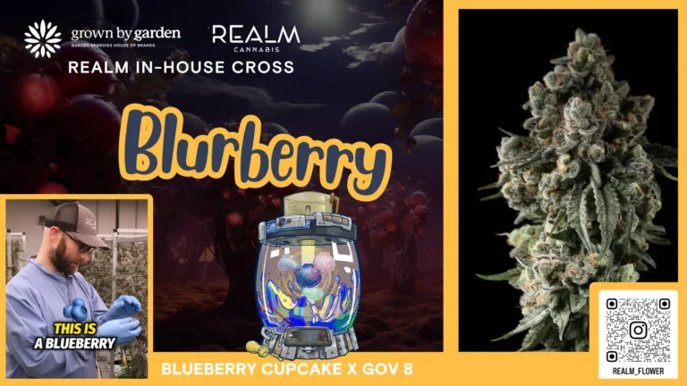 Blurberry Video Placeholder