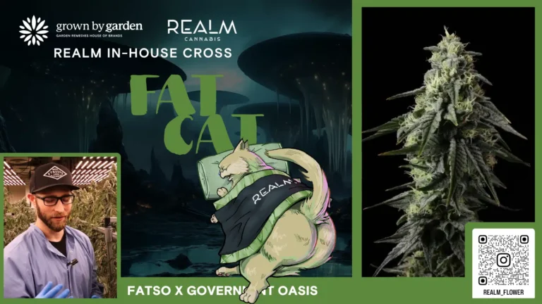 Fat Cat Cannabis Strain Video Placeholder