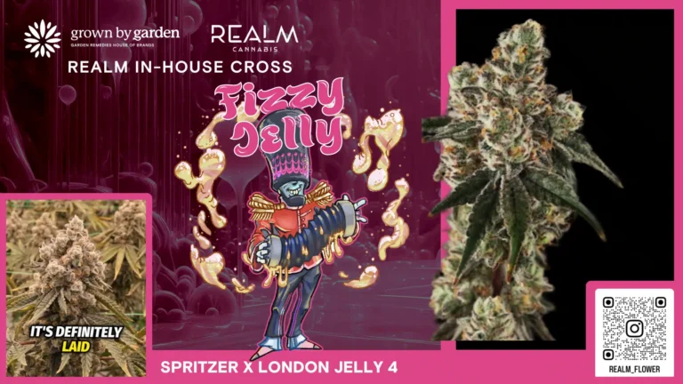 Fizzy Jelly video Placeholder