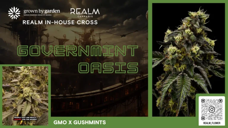 Governmint Oasis video placeholder