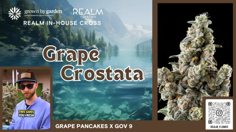 Grape Crostata video placeholder