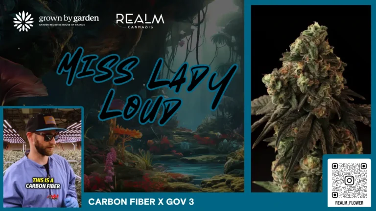 Mis Lady Loud Video Placeholder