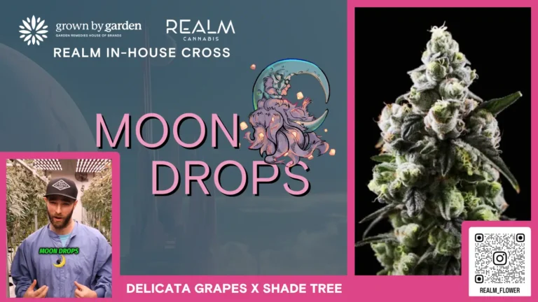 Moondrops video placeholder