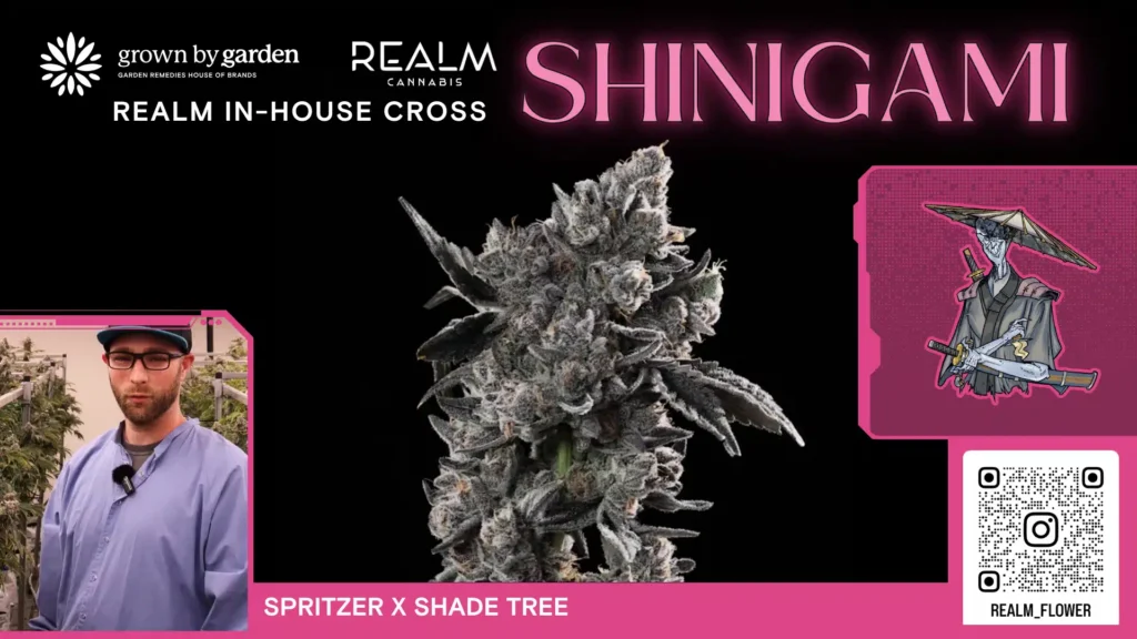 Shinigami Video Placeholder