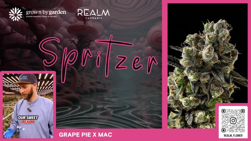 Spritzer Video Placeholder