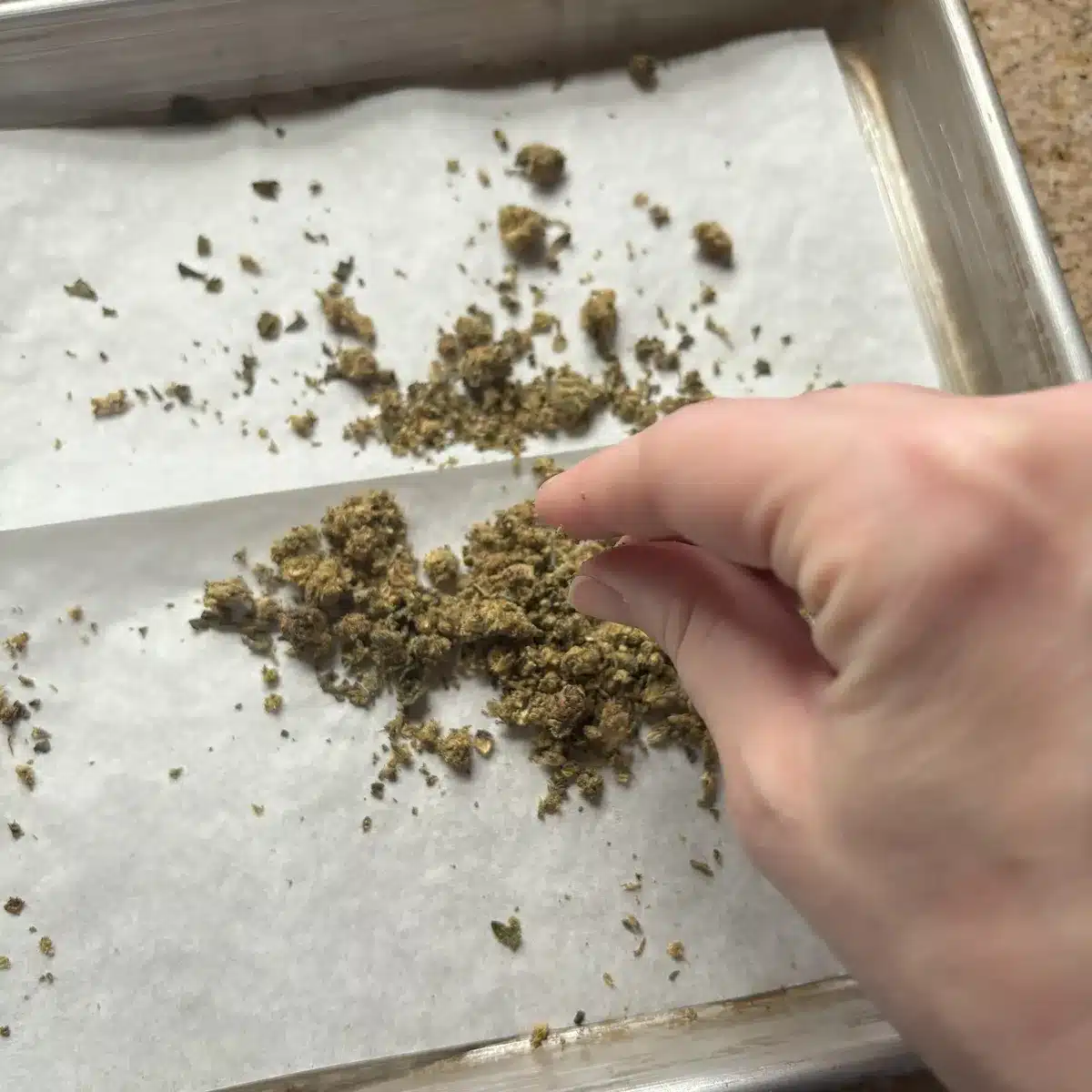 Cannabis flower broken up into pieces on a baking sheet