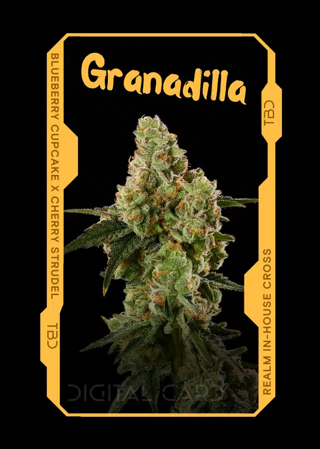 Granadilla Cannabis Strain Trading Card