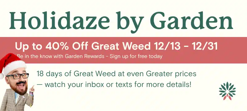 Mobile Holidaze Main