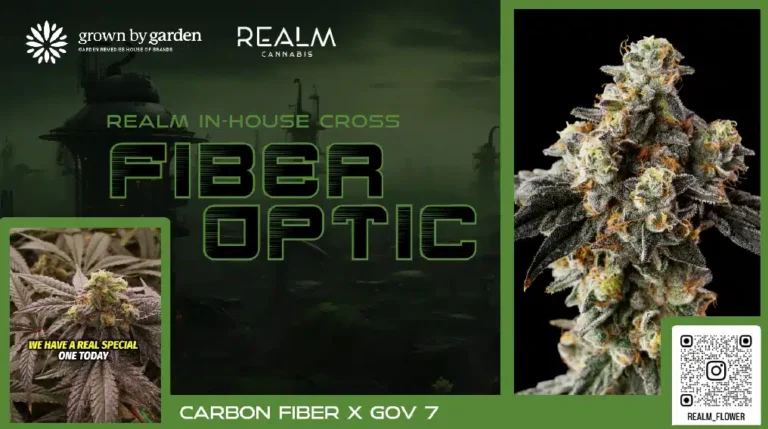 Fiber Optic Video Placeholder
