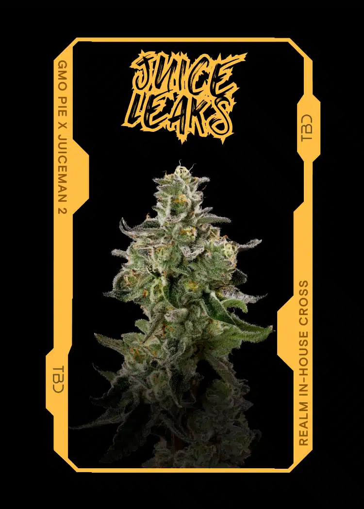 Juice Leak Cannabis Strain Trading Card