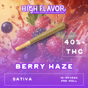 Berry-Haze-1G-Preroll