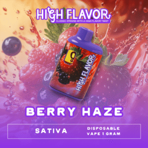 Berry-Haze-Dispo
