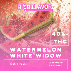 Watermelon-White-Widow-1G-Preroll