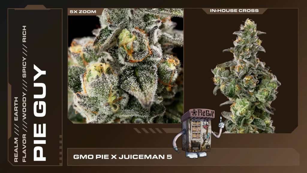 Composite of 2 closeups of Pie Guy cannabis strain
