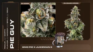 Composite of 2 closeups of Pie Guy cannabis strain
