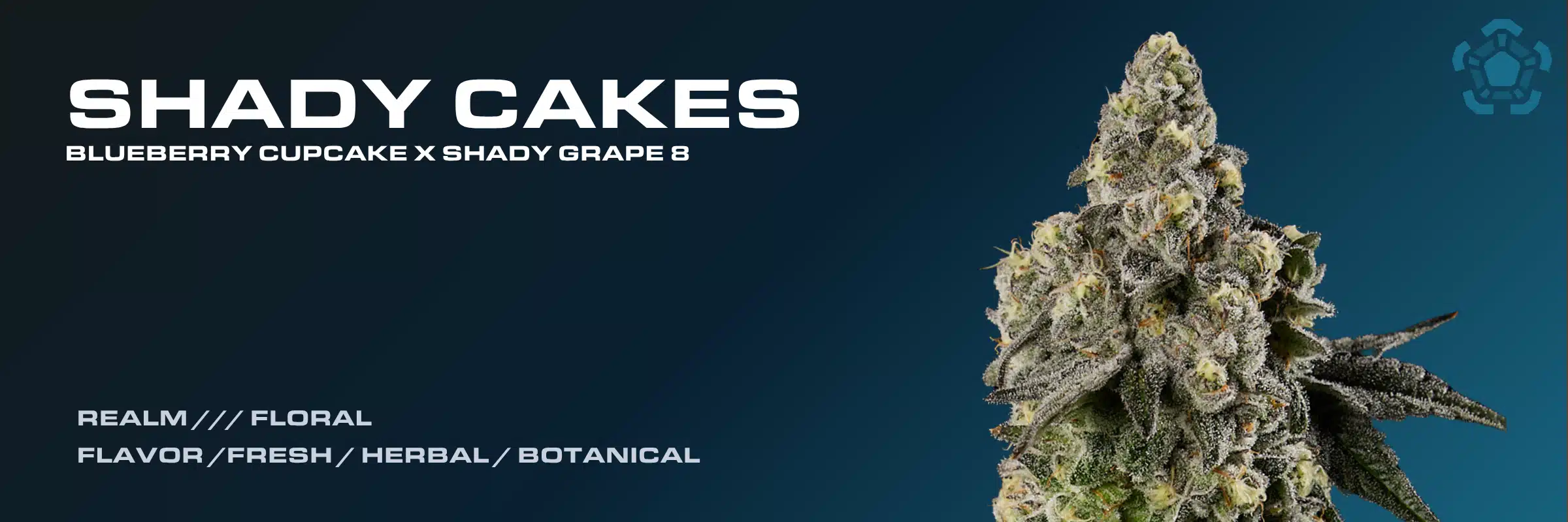 Shady Cakes cannabis strain banner displaying frosty flower bud, Floral realm classification, and flavor profile.