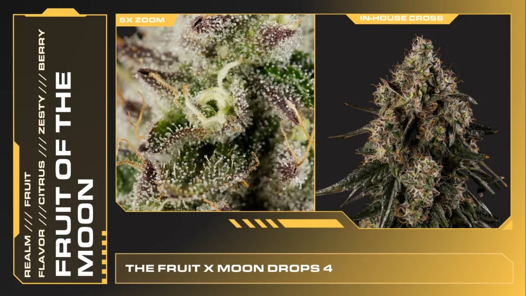 Composite of 2 closeups of Fruit of the Moon cannabis strain
