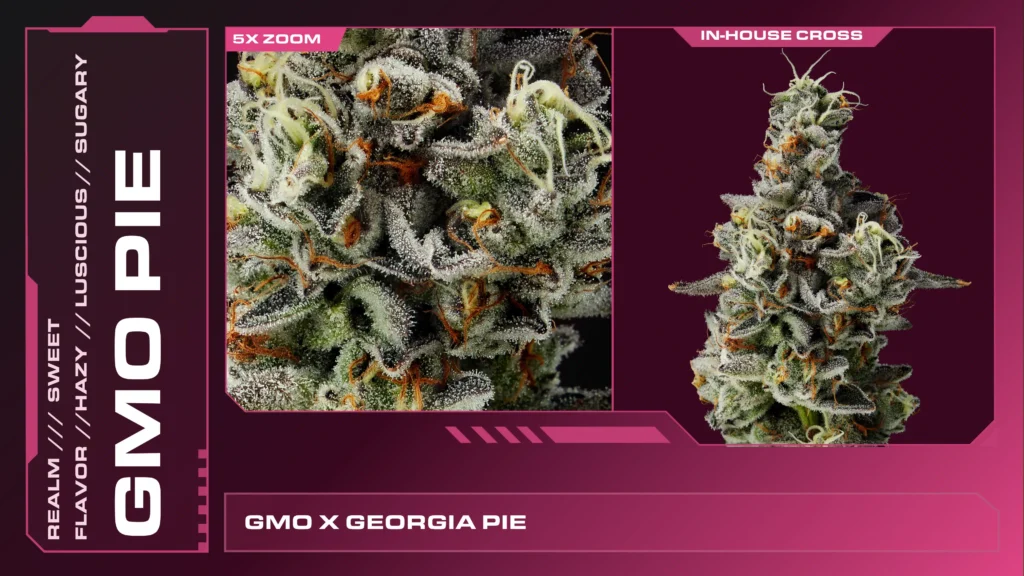 Composite of 2 closeups of GMO Pie cannabis strain