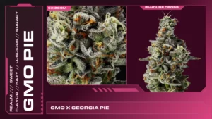 Composite of 2 closeups of GMO Pie cannabis strain