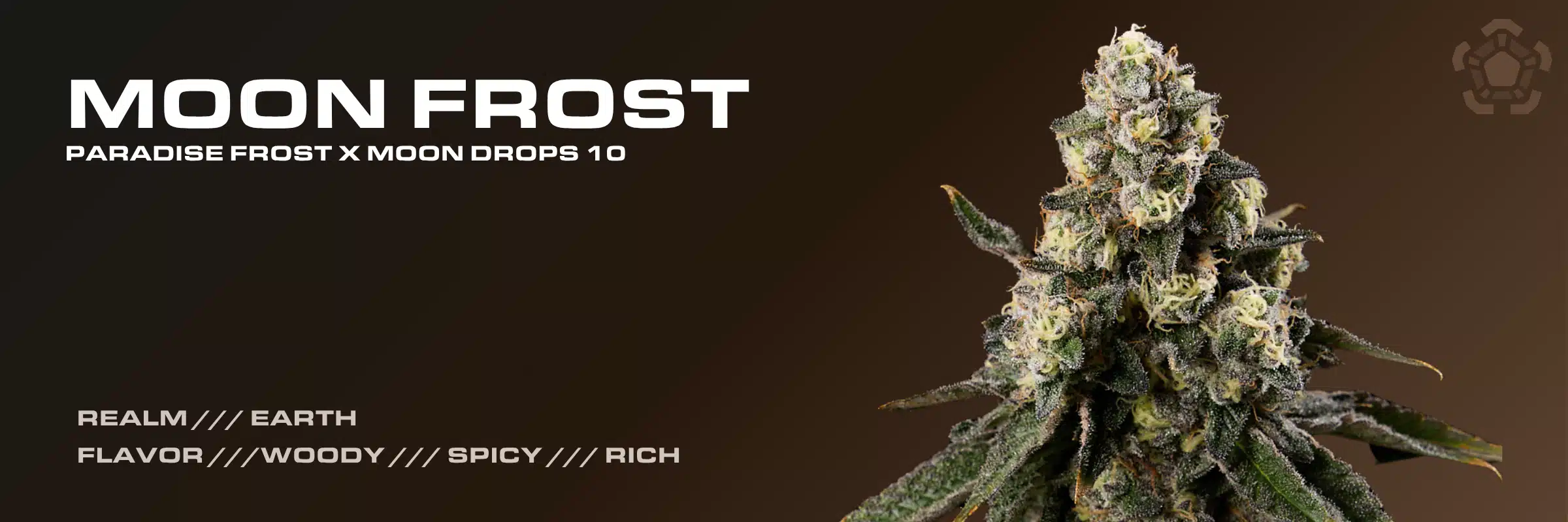 Moon Frost Earth Realm cannabis strain banner showcasing frosty flower with woody, spicy, and rich flavor notes