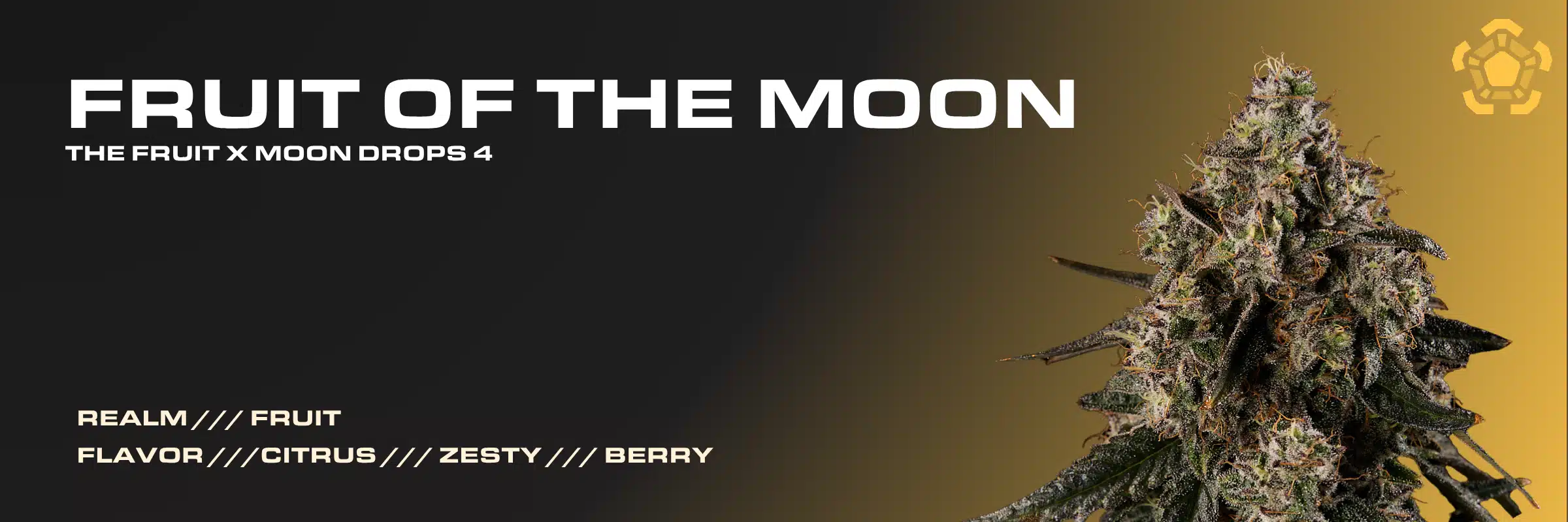 Fruit of the Moon cannabis strain banner showing flower bud with citrus, zesty, and berry flavor profile