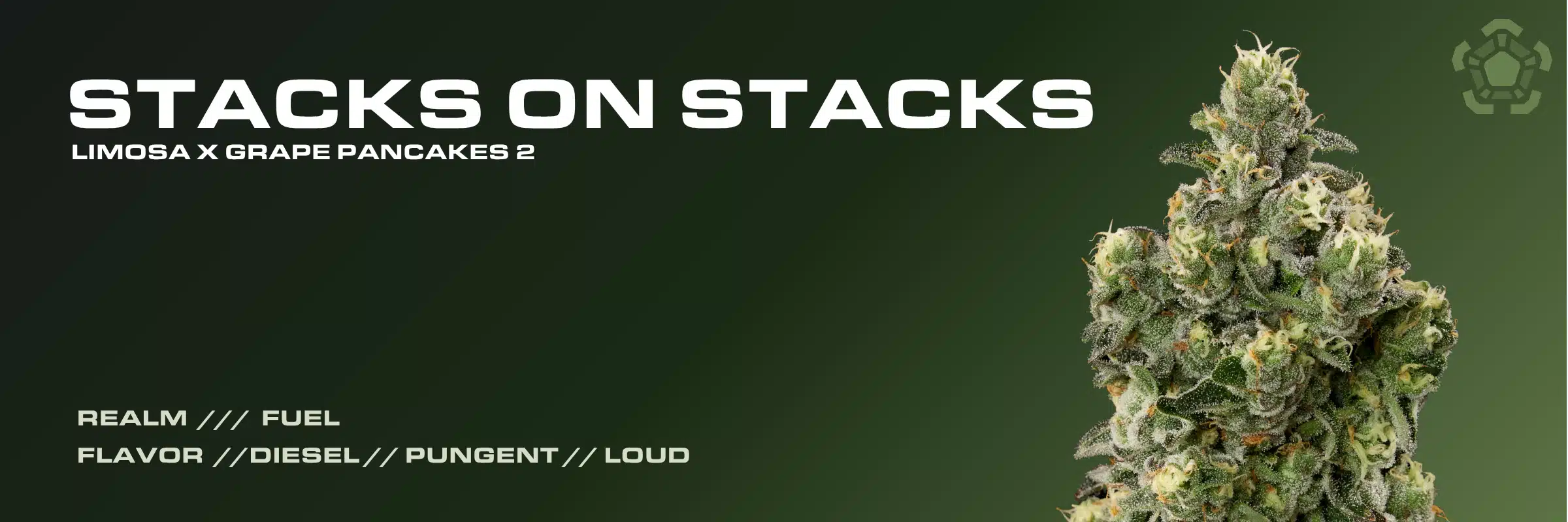 Stacks on Stacks cannabis strain flower bud featuring Limosa x Grape Pancakes 2 genetics and diesel flavor notes.