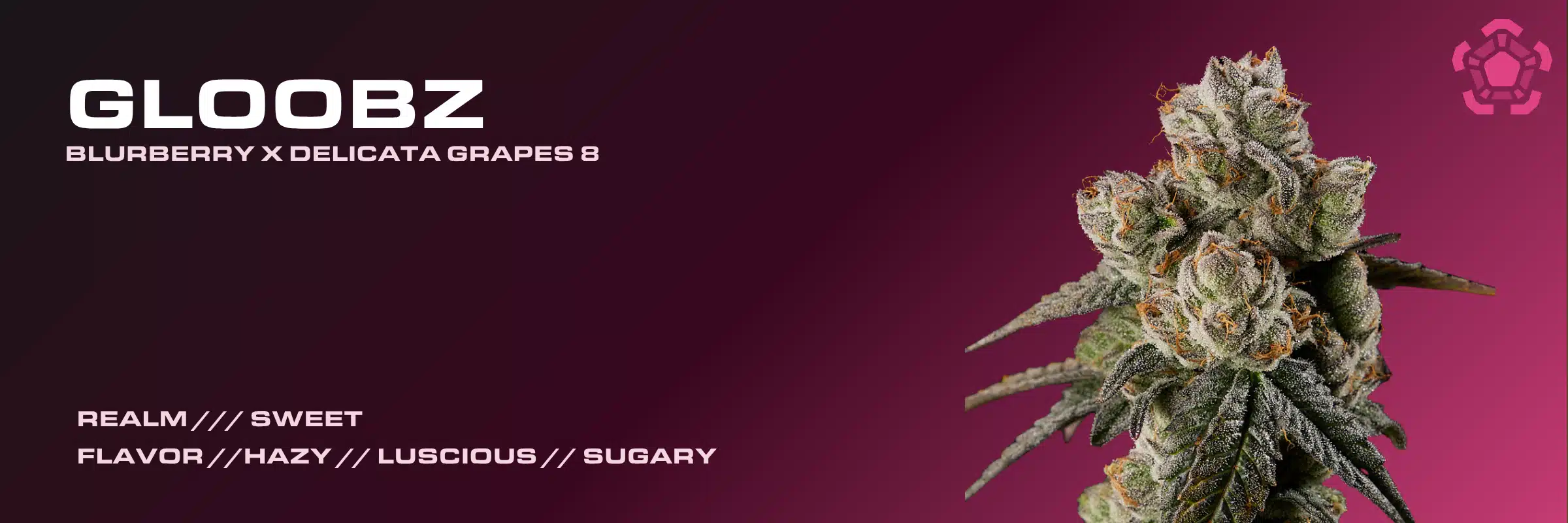 Gloobz cannabis strain graphic banner featuring Blurberry x Delicata Grapes 8 lineage with sweet, hazy, and sugary flavor notes.