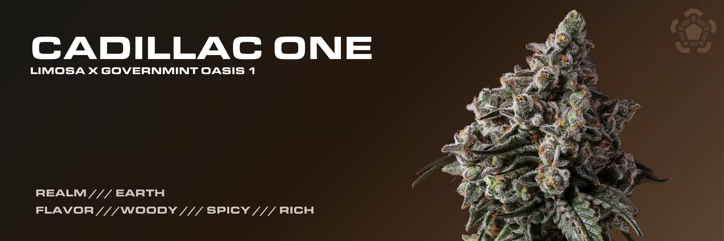 Cadillac One cannabis strain banner featuring Limosa x Governmint Oasis 1 genetics and Earth realm flavor notes.