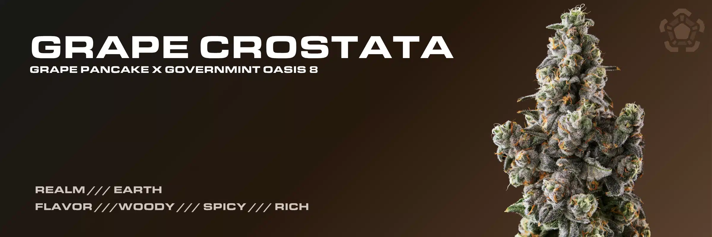 Grape Crostata cannabis strain banner featuring Grape Pancake x Governmint Oasis 8 lineage with woody, spicy, and rich flavor notes.