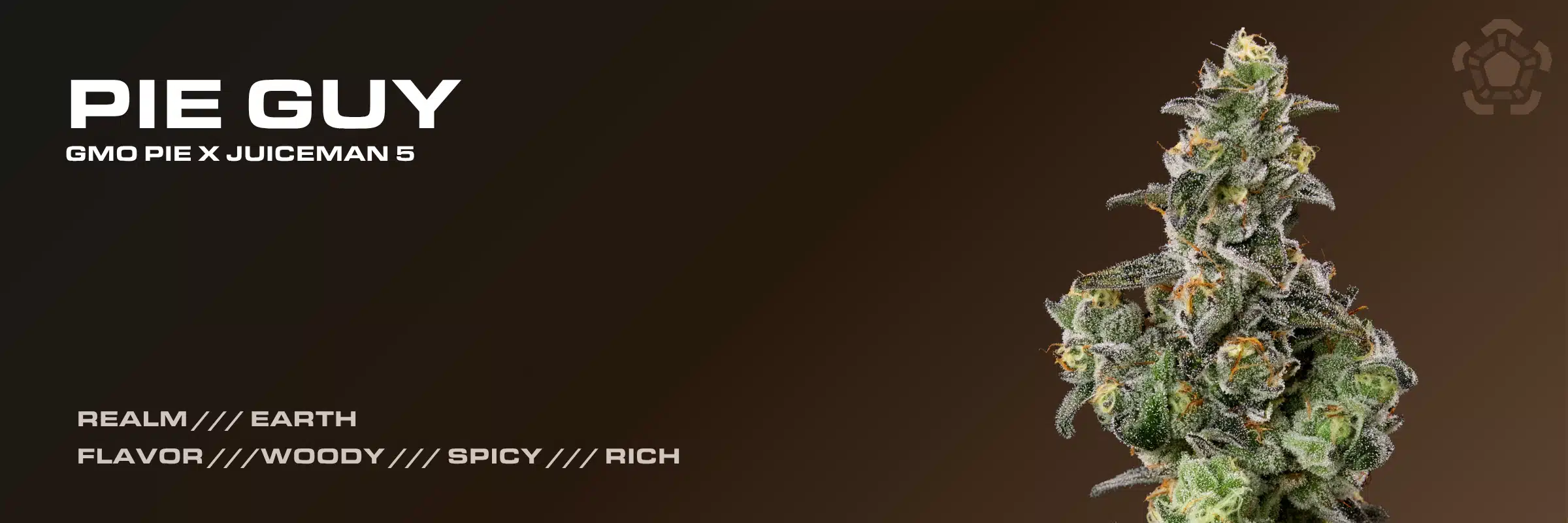 Pie Guy cannabis strain banner featuring GMO Pie x Juiceman 5 lineage, Earth Realm branding, and woody, spicy flavor notes