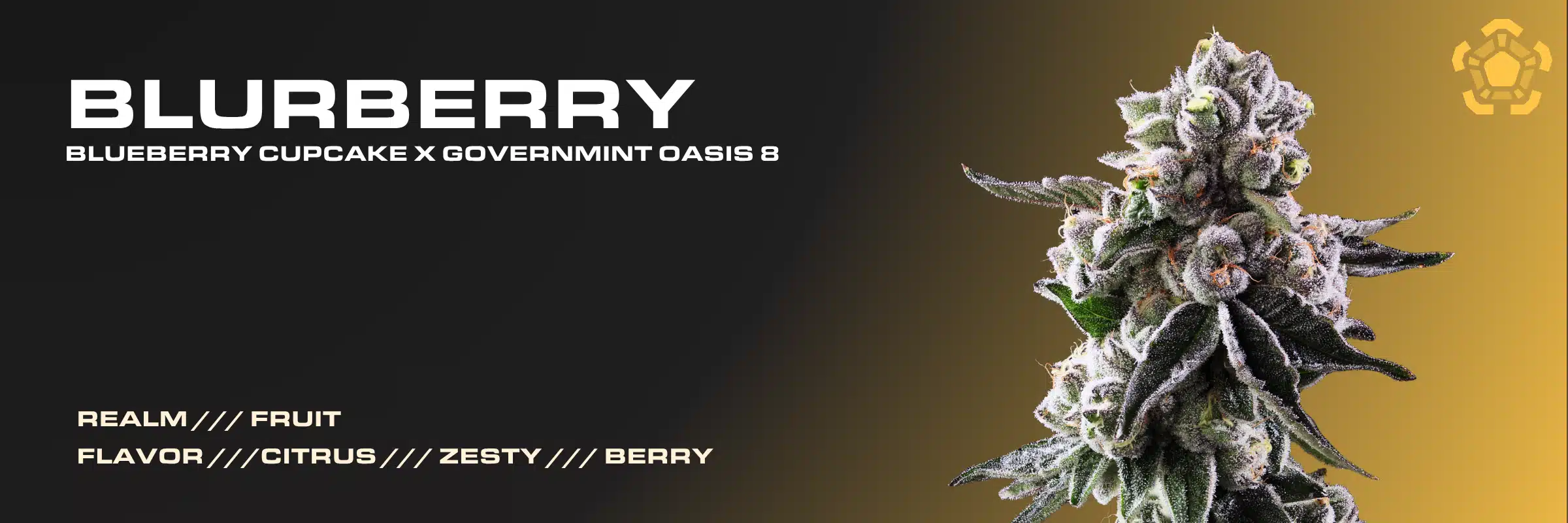 Blurberry cannabis strain promo banner showing frosty flower bud, Fruit Realm category, and citrus, zesty, berry flavor profile.