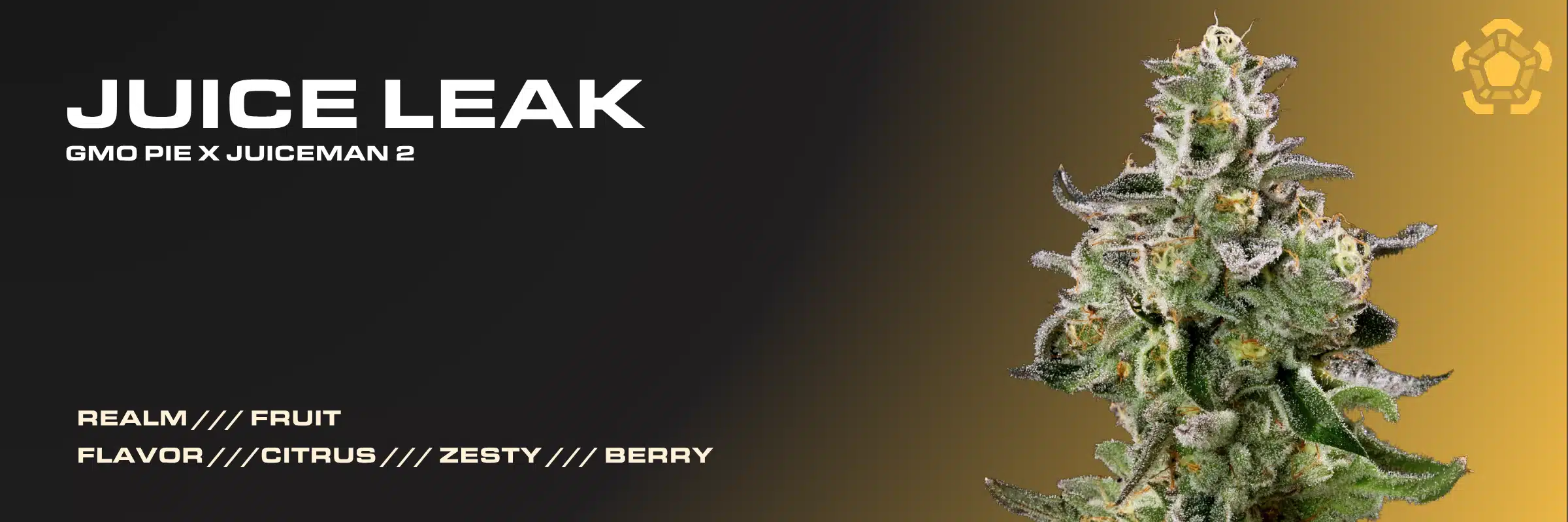 Juice Leak cannabis strain banner displaying GMO Pie x Juiceman 2 genetics, Fruit Realm logo, and citrus zesty berry flavor profile with dense flower bud.