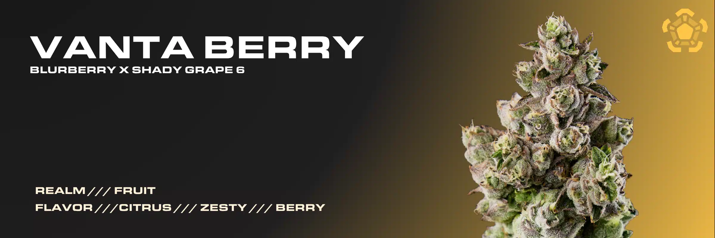 Vanta Berry cannabis strain flower by Garden Remedies – Fruit Realm with citrus, zesty, and berry flavor profile