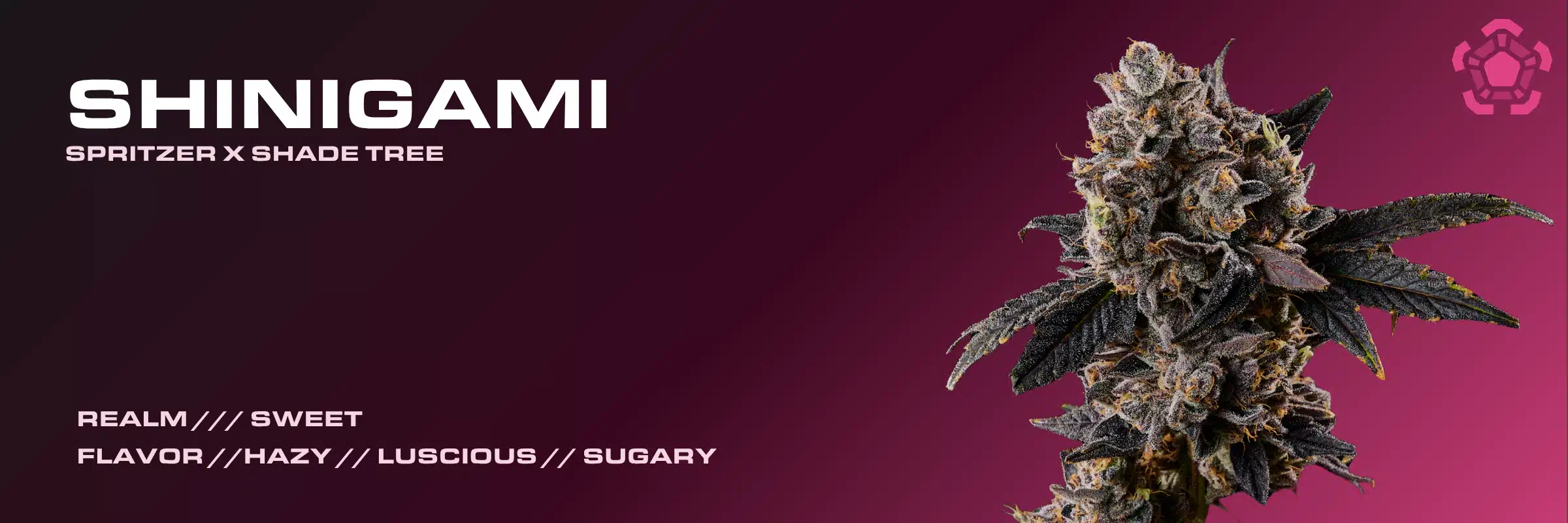 Shinigami cannabis strain banner displaying a dense flower bud, Spritzer x Shade Tree lineage, and Sweet Realm branding.