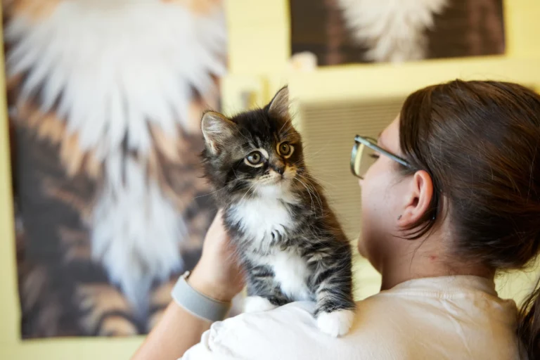 Woman facing away and holding a kitten