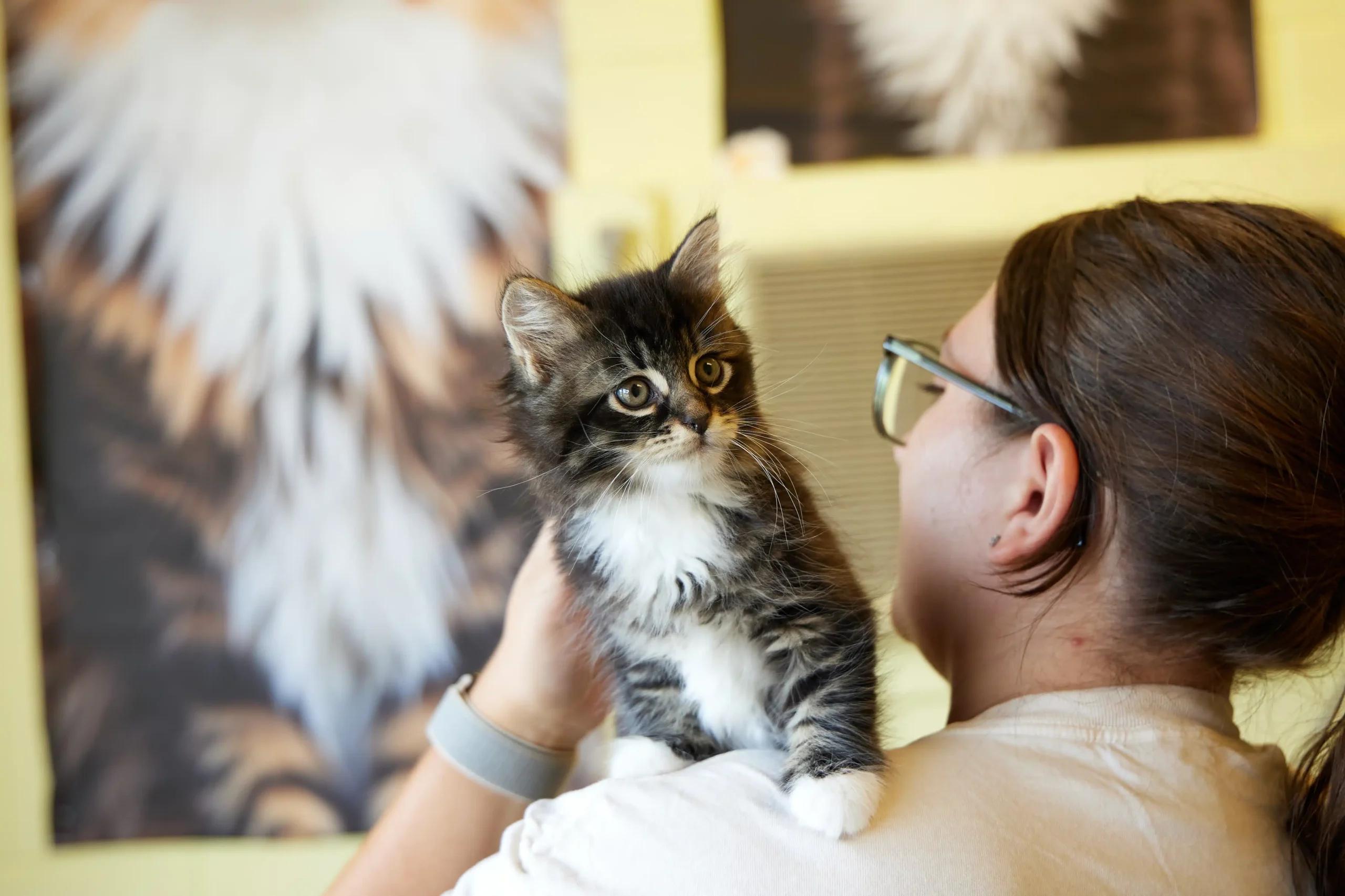 Puff Puff Give: Supporting PAWS and Their Mission to Help Local Pets
