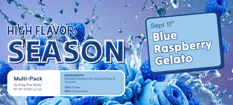 High Flavor Season: Blue Raspberry Gelato Infused Pre-Rolls Available 9/11