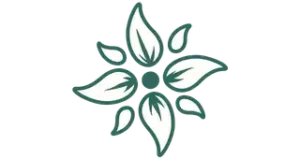 Green line art illustration of a stylized flower