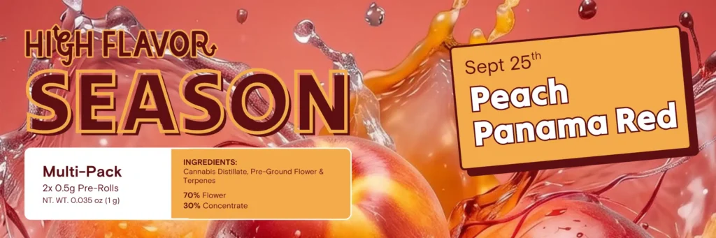 High Flavor Season: Peach Panama Red Infused Pre-Rolls Available 9/25